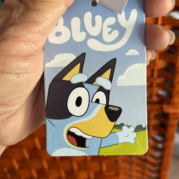 Bluey - Picture 3 of 5